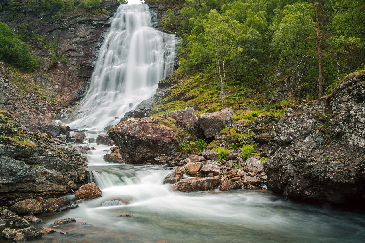 Communication Workshop